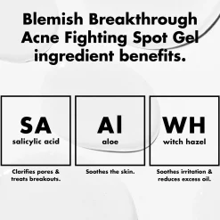 Blemish Breakthrough Acne Fighting Spot Gel