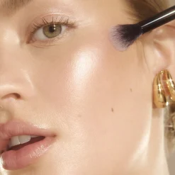 High Points Highlighter Brush