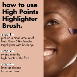 High Points Highlighter Brush