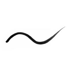 Precision Liquid Eyeliner
