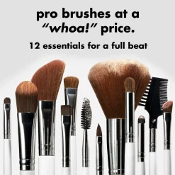 Professional Set of 12 Makeup Brushes