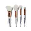 Rose Gold Travel Brush Kit