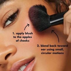 Ten Out of Ten Brush Kit