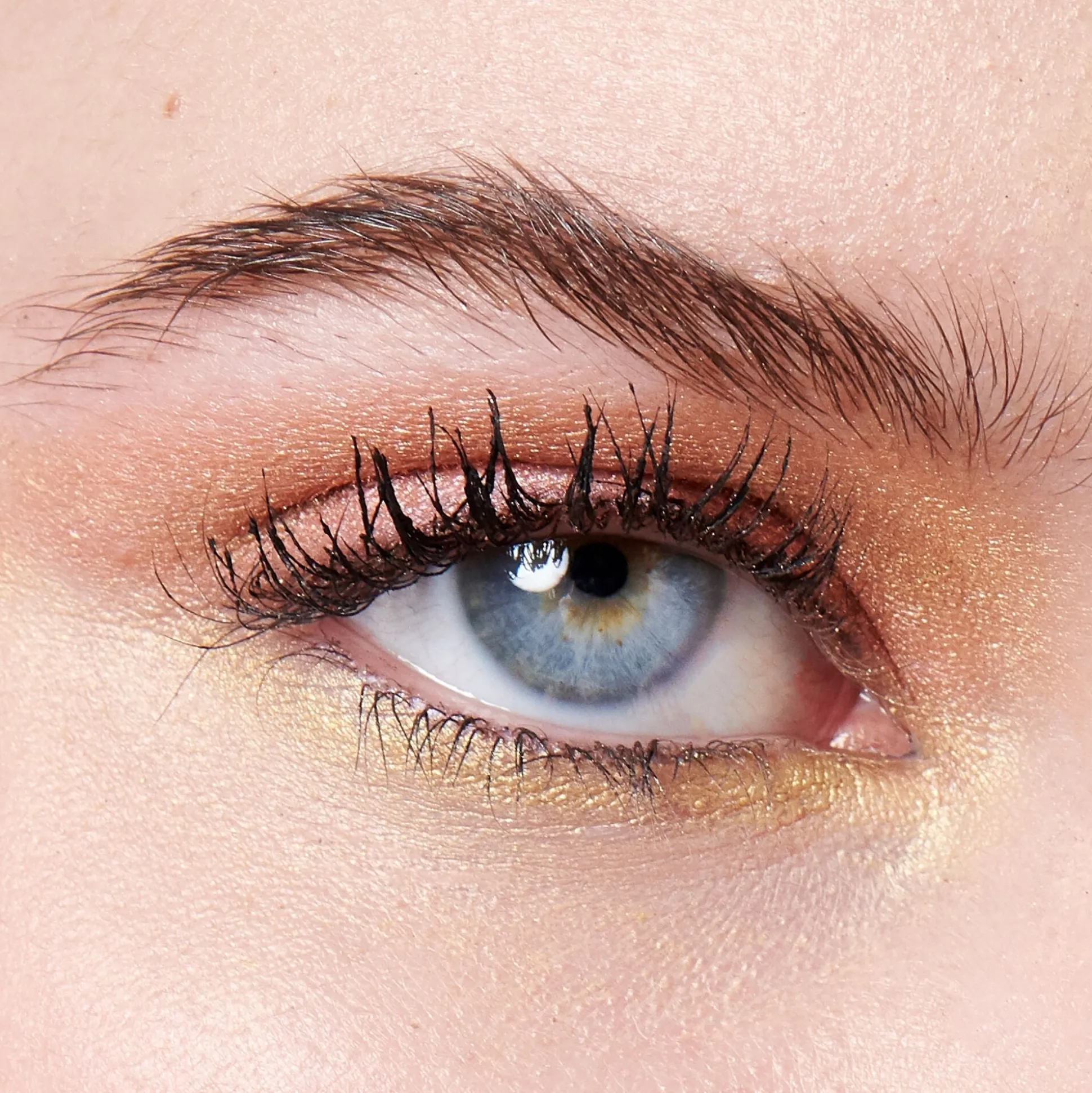 The New Classics Eyeshadow Palette